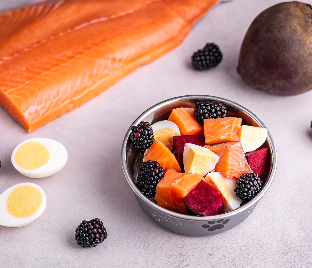 Round Salmon Bowl 150 g